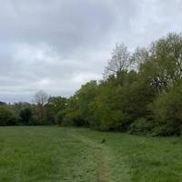 Take the path to the right. The park covers 16 hectares of open grassland fields bounded by mature hedgerows.