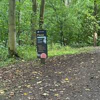 Take note of the forest bathing prompt. Pause to breathe in the forest air.