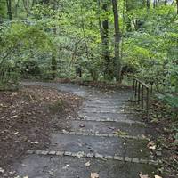 Continue on the path down some steps.