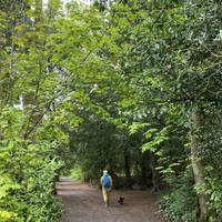 There are lots of paths to enjoy around this woodland nature reserve. Feel free to wander as you wish.