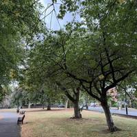 Continue along the avenue with Pershore Road on the right.