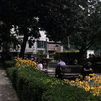 There is a nicely maintained garden with flowers, benches and a water feature.