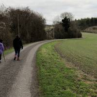 At the end of the road turn left onto the public foot path marked “Private Road” follow round to the trees on the right 