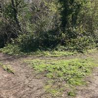 At the first fork in the path go left. The path is downhill.