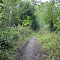 The track turns to muddy path.