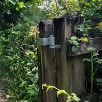 Turn right and continue straight. The right is overgrown and the left is boggy so continue on the path. Go through the fence shown above.