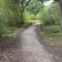 Follow the path through the woodland.
