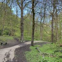 Keep following the path through the woods. It starts off midly undulating and picks up height further on.