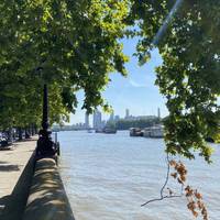 With the beautiful bridge behind you and the river to your right, start strolling along Chelsea Embankment, a lovely tree lined stretch.