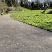 Enter the park on foot from Marlborough Road and head towards the lake.