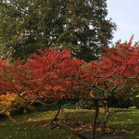 We find these beautiful red trees as it’s autumn close by. What are they like for you? Take the paths leaving North-West to exit the park.