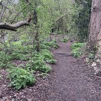Another path along the river
