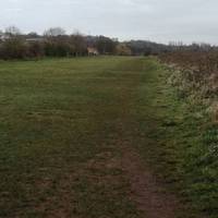 The path now enters a long open grassy space, keep ahead on the riverside edge of the field.