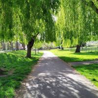 From the pavilion walk down the avenue of willow trees that leads to the river.