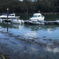 The marina forms part of the Cleddau estuary and is tidal