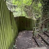 Look out for steps with a handrail to your left and head onto this path. The first section is steps with a garden fence to your left.