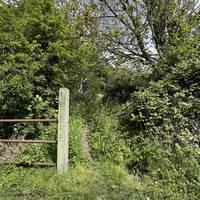 As the lane bends to the left, continue straight onto a narrow dirt footpath by a metal and concrete fence.