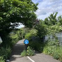 On the other side of the bridge, look left for the steps down to the riverside. Alternatively, you can use the shared sloped path.