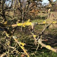 There’s plenty of nature to find. We were on the look out for daffodils and signs of spring 