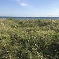 När du nu svalkat av dig kommer vi till den längsta distansen via stranden och kampingen. Fortsätt följa havet så är du på rätt spår.