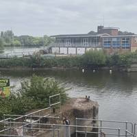 Ham dock