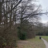 Keep left to continue on this walk, walk alongside the recreation ground to the woodland entrance.
