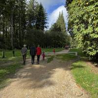 Start at the Nockatt Coppice Car Park which is free. Cross the road carefully and head onto the path, walking around the access barrier.