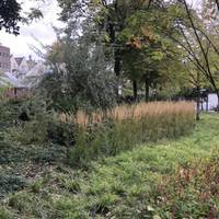West Kruiskade Park garden is currently closed but will open in spring 2020. There is a small zoo at the end.