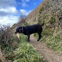 At the far side of the beach there are some small steps and another path.. these will lead you to the next beach, known as lairds bay.