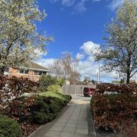 Head on the path between flower beds and young trees.