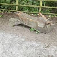 Look out for wooden sculptures dotted along the route.