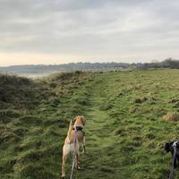 The path continues along the left-hand boundary of the field, parallel with the shore