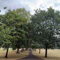 Turn left at the path roundabout. Then take the first left onto the path lined with trees that heads diagonally through the park.