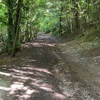 This pathway leads down to Stanmer house stanmer Park eventually