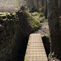 Over bridge number two, just a little further into the woods.