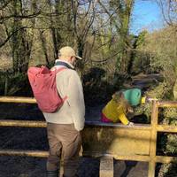 Head over the metal stile and cross the cattle grid. This is the only way in so not suitable for wheels.