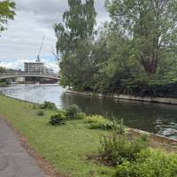 Follow the path to the left of the lido and you’ll arrive on the riverfront. Turn left. Caversham lock is behind and Reading Bridge ahead.