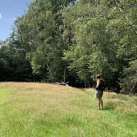 The field itself is pasture, not crops. In mid-July it was all a-flutter with butterflies.