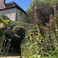 Gardens were designed to be large but not unmanageable, each planted with a fruit tree. Every Moor Pool house overlooked green space.