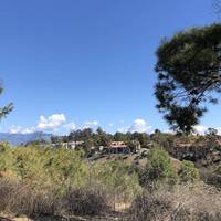 If you keep to the path and keep looking around, you’ll get some fantastic views. You’re on Repetto Hills, there are views over Arroyo Seco.