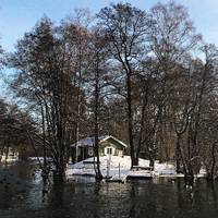 During the winter some parts around this little island is heated and not frozen for the birds 🦆