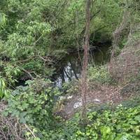 To your right as you walk over the bridge you get the first view of the river Crane. It passes the airport & runs under the road & tube line