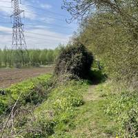 The footpath will gradually take you down to the river and railway line, as you follow the next steps.