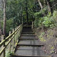 Go up the steps, there are quite a few!