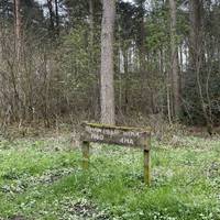 These woods are rich in history