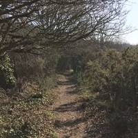 The trail follows an old disused rail line, look out for it on your left. 
