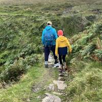 Walk past the bench as the path bends round to the left and head down the stone steps.