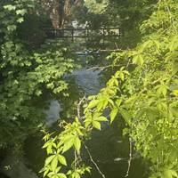 You’ll hear the river rushing over a weir. The path opens to the lock side. Cross the lock using the lock gate bridge if it’s closed.
