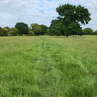 Across the field to a stile, maybe cuckoo flowers in bloom, or a cuckoo call, the pulse of the landscape, a heart hidden in distant oaks.