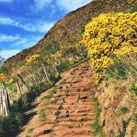 And off the steep steps that seem to be whirling up endlessly. 